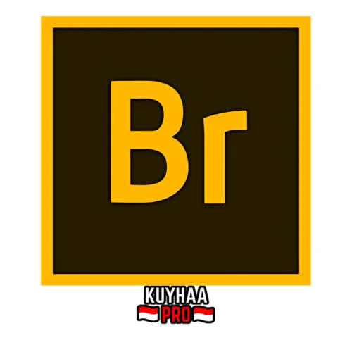 Adobe Bridge 2024 Kuyhaapro